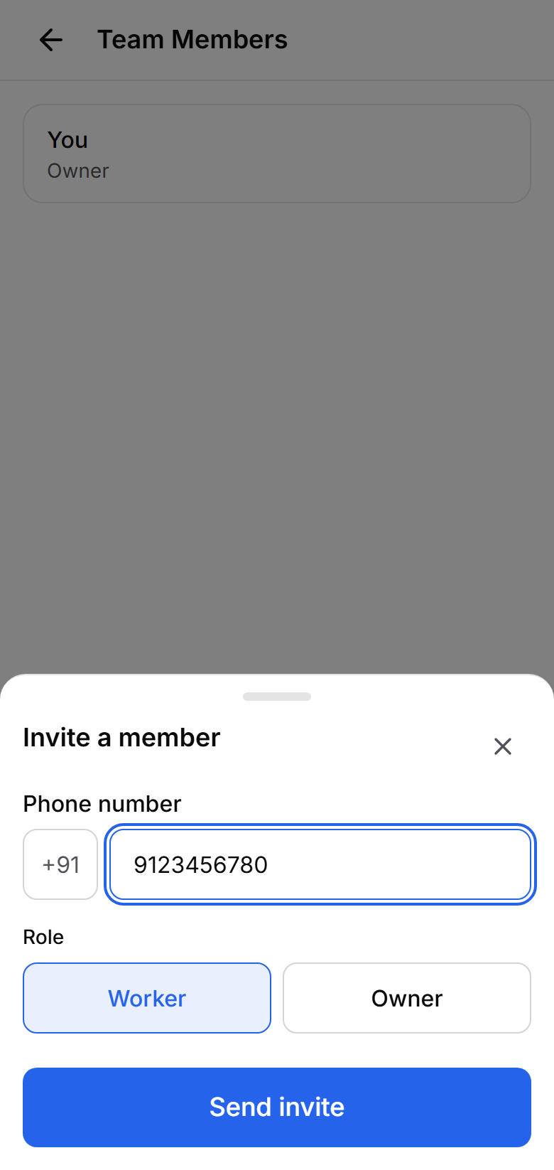 Tovan team settings screen showing invited team members and their roles